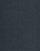 VS-10447-2 TANPP Duggan